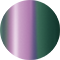 Caméléon violet à vert